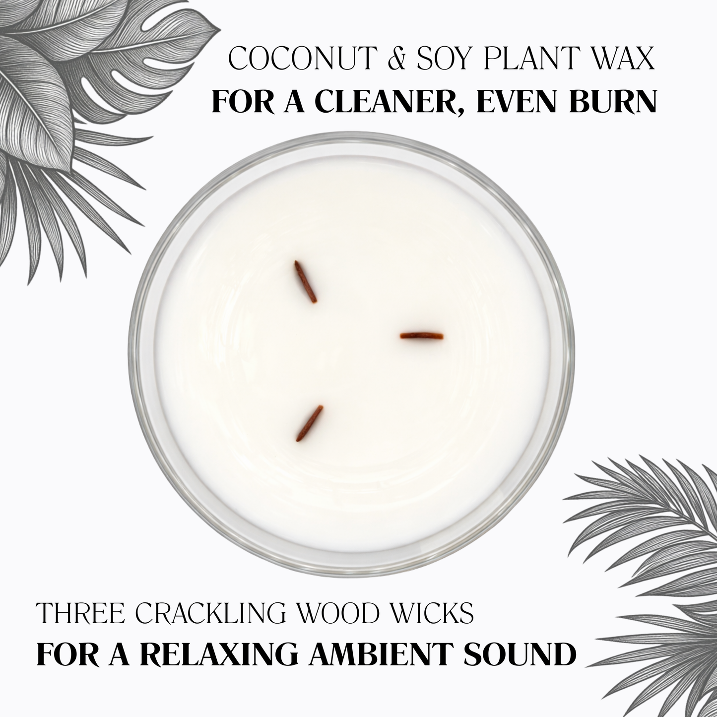 Statement Three Wood Wick Candle
